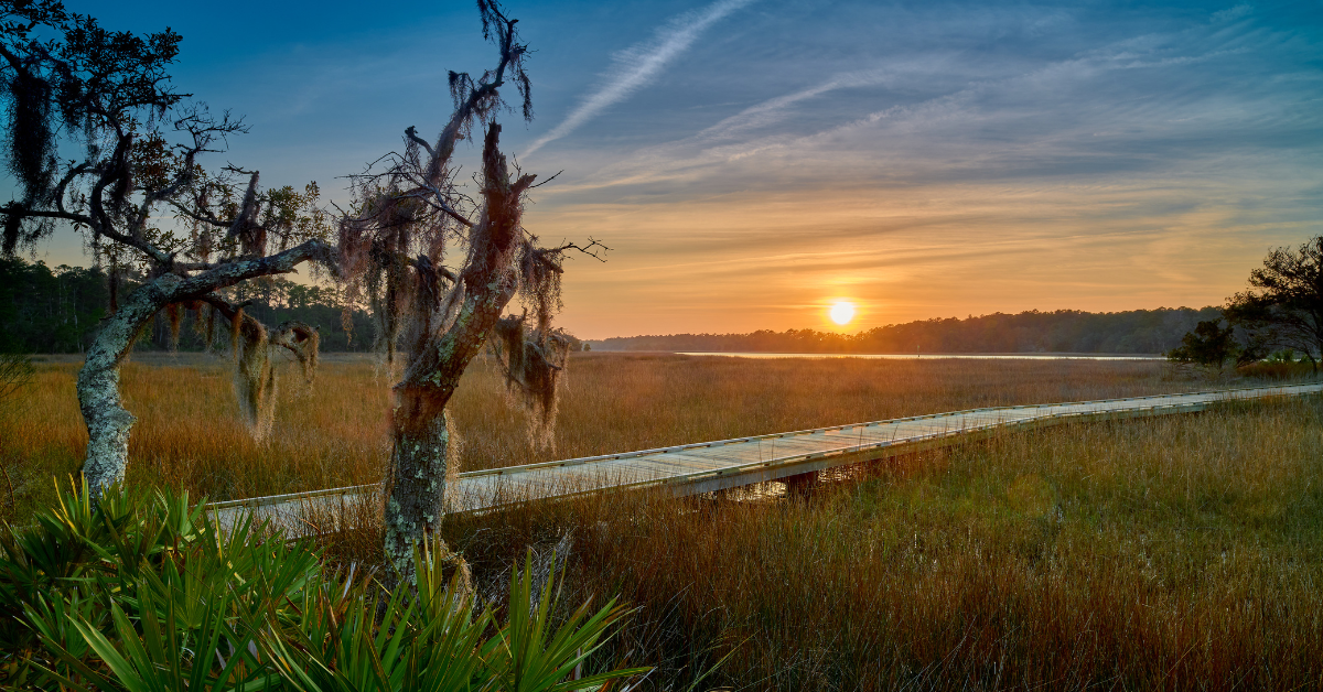 Assisting Aging Parents: Practical Steps and Compassionate Conversations A Q&A with Malcolm Butler and Bess Butler Brunson