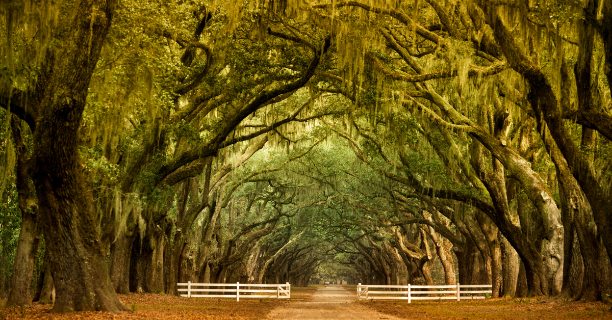 How Women Can Navigate Life’s Transitions