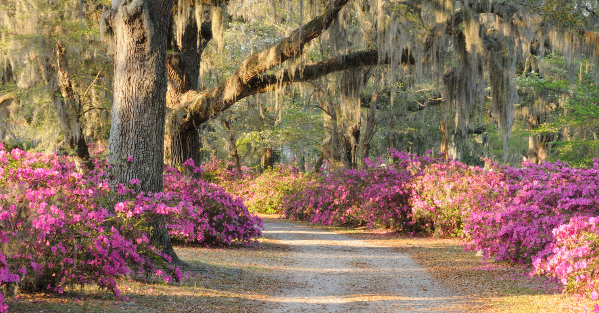 Supporting the Next Generation: A Strategic Approach to Multigenerational Gifting