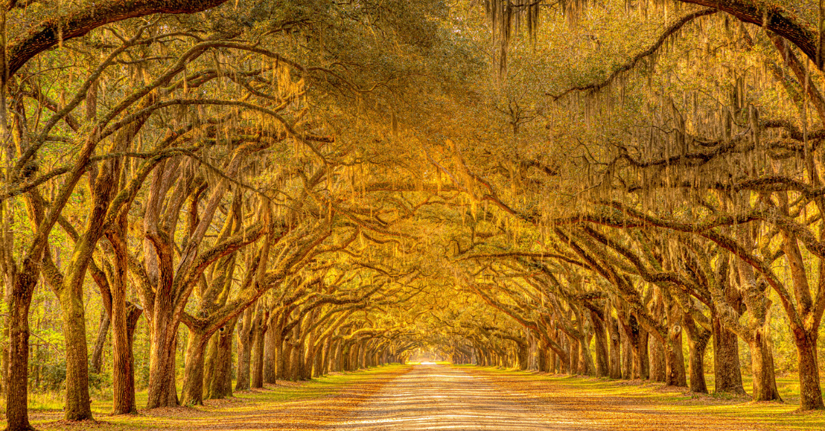 Staying the Course: Disciplined Planning Leads To Flexibility