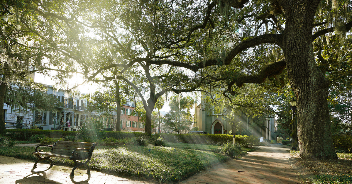 Year-End Financial Planning: Key Dates and Deadlines